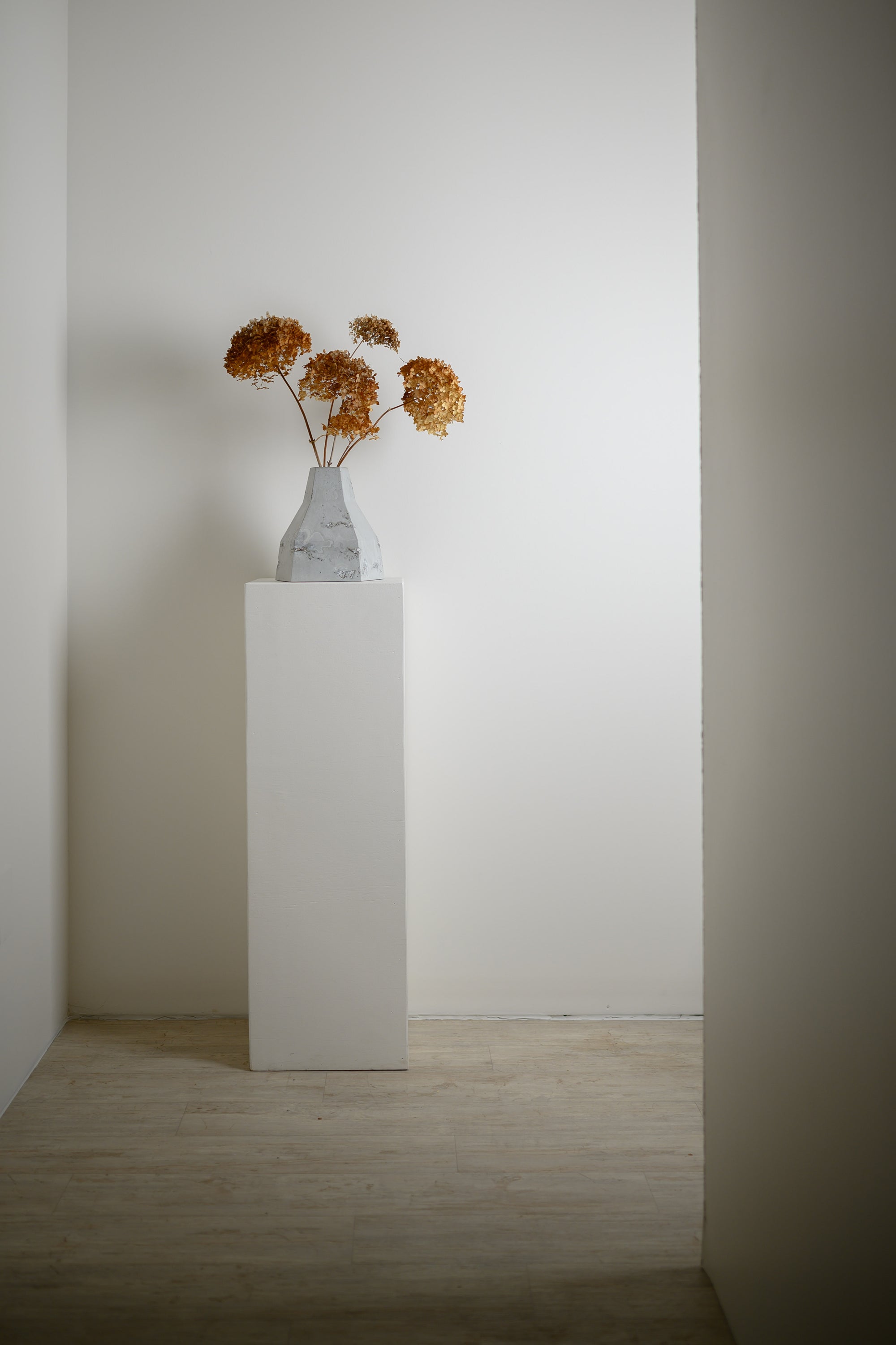 Concrete vase in hallway on white pedestal with bouquet of dried hydrangea